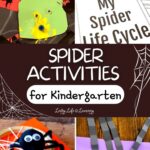 Spider Activities for Kindergarten
