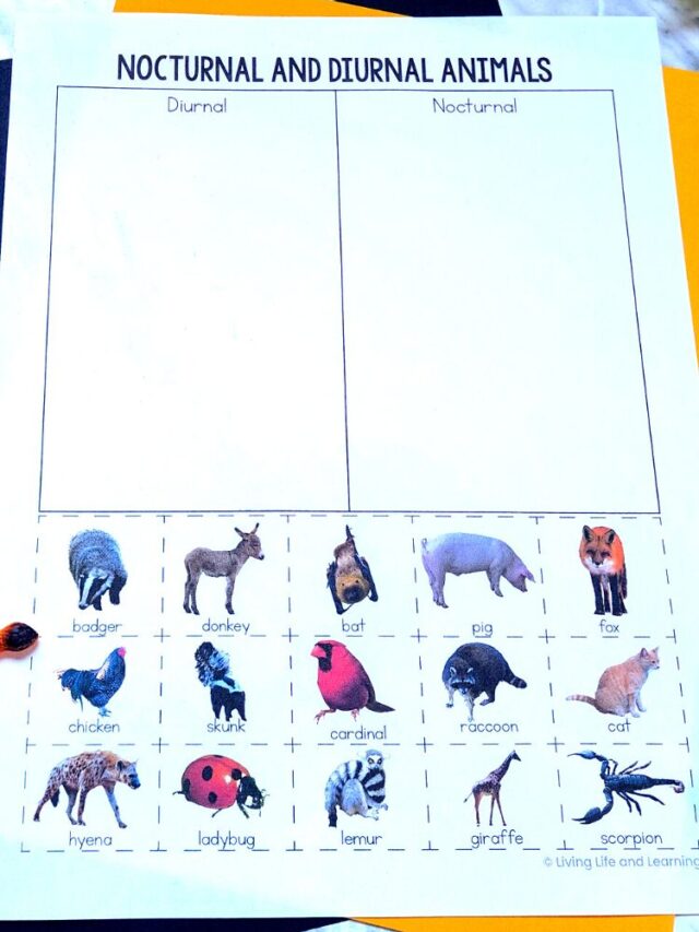 Nocturnal and Diurnal Animals Worksheets Story