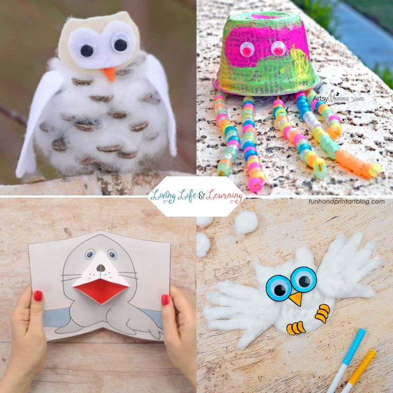 Arctic Animals Preschool Crafts: Top left: Snowy owl made from an acorn. Top right: Paper mache jellyfish with bead stingers. Bottom left: Pop-out card seal with mouth open. Bottom right: Snowy owl made from cotton and hand-shaped cotton for wings.