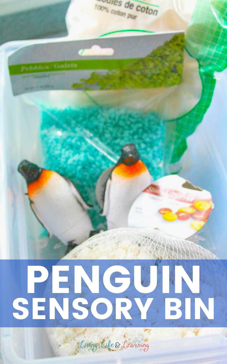 Two penguins in a bin with packed cotton, and different colored rocks, teal and the white rocks in a net. Penguin Sensory Bin is typed in bold white text on top in the middle of a translucent blue rectangle.