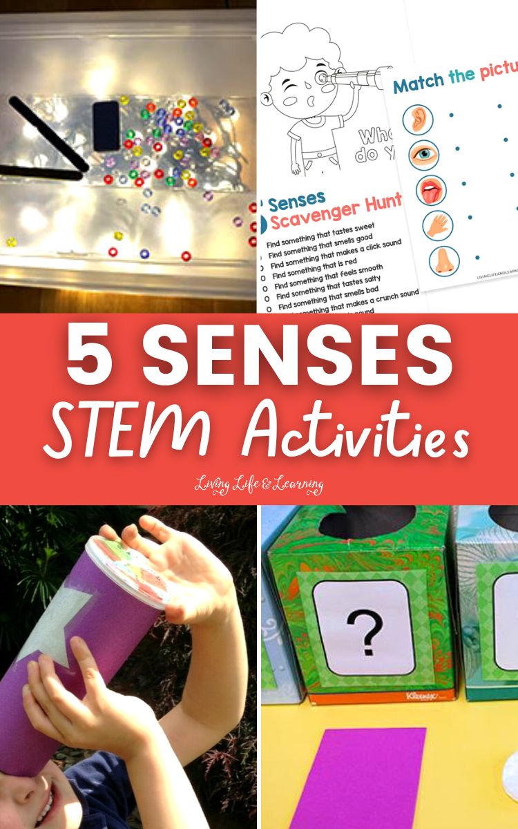 5 Senses STEM Activities