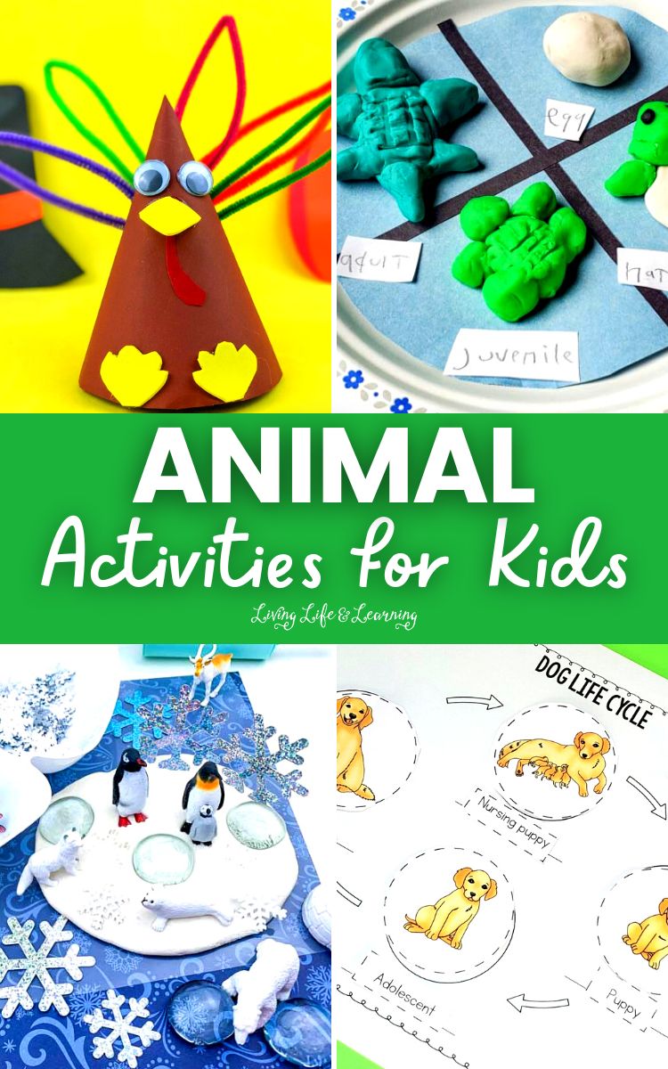 Animal Activities for Kids