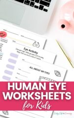 Human Eye Worksheets for Kids