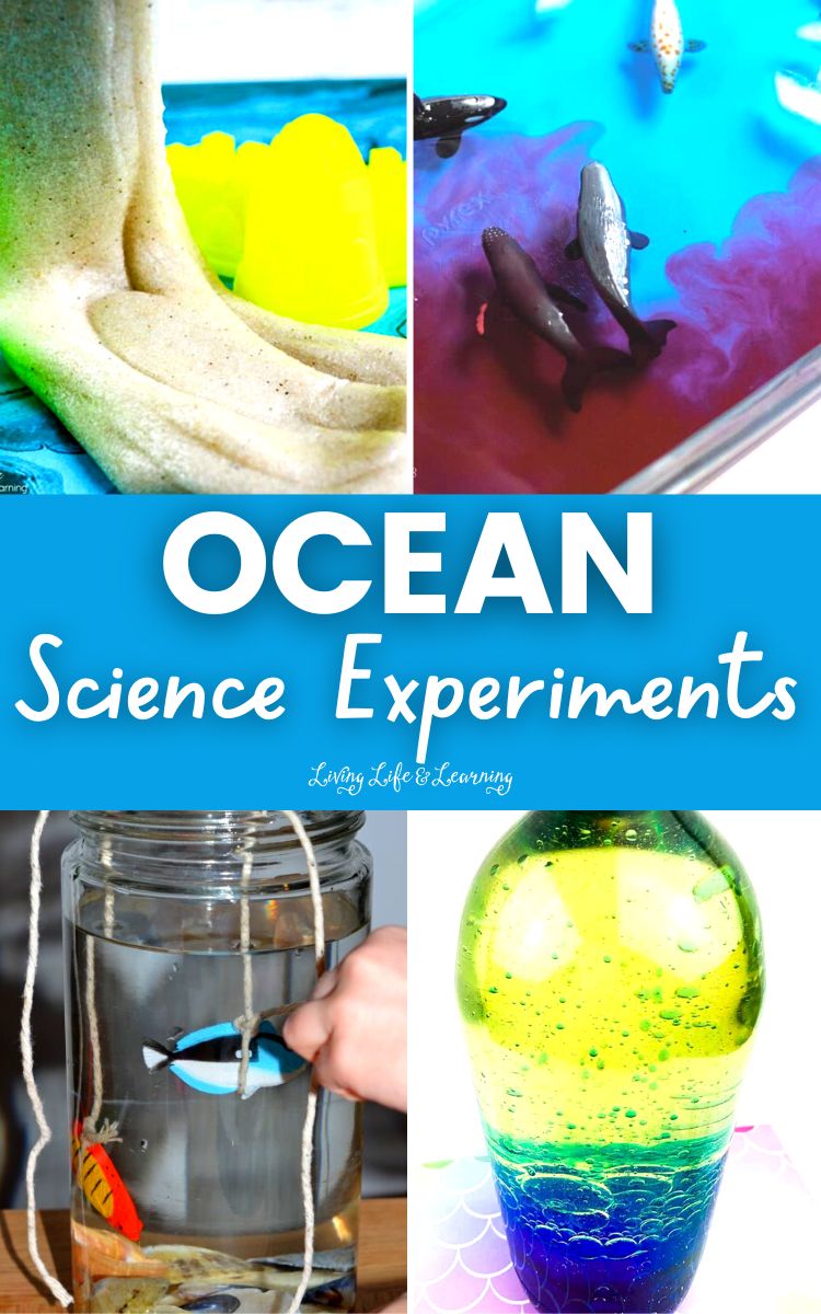 Ocean Science Experiments
