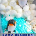 Two penguins in a bin with packed cotton and colored rocks, teal and the white rocks are enclosed in a net. Penguin Sensory Bin is typed in bold white text on top and in the middle of a translucent blue rectangle.