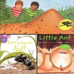 Ant Books for Preschoolers