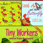 Ant Books for Preschoolers