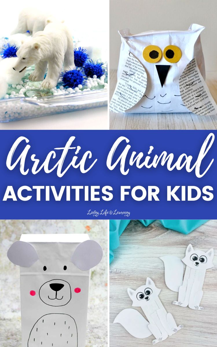 A collage of Arctic Animal Activities for Kids.