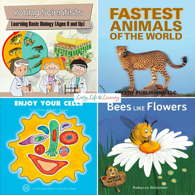Biology Books That Kids Will Love: 4 book covers collaged into panels. Top left: Young Scientists: Learning Basic Biology. Top right: Fastest Animals of the World. Bottom left: Enjoy Your Cells. Bottom right: Bees Like Flowers.