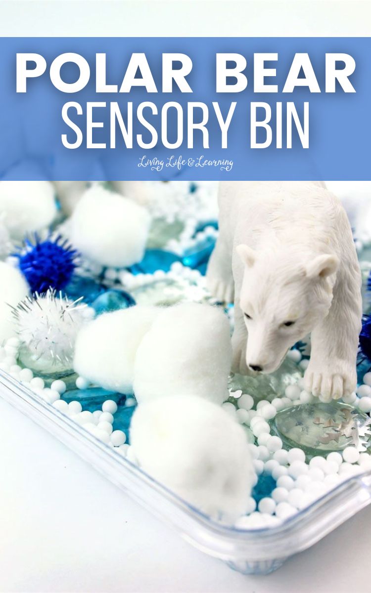 Easy Polar Bear Sensory Bin: 2 polar bear toys in a sensory bin.