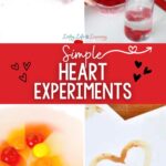 Simple Heart Experiments