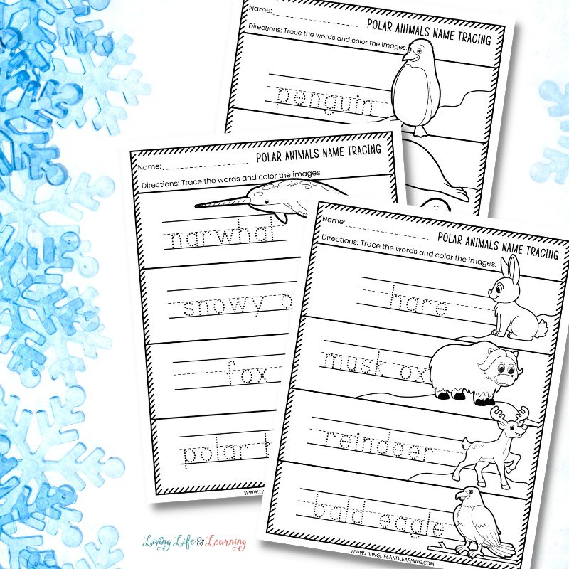 Polar Animals Writing Worksheets for Kindergarten