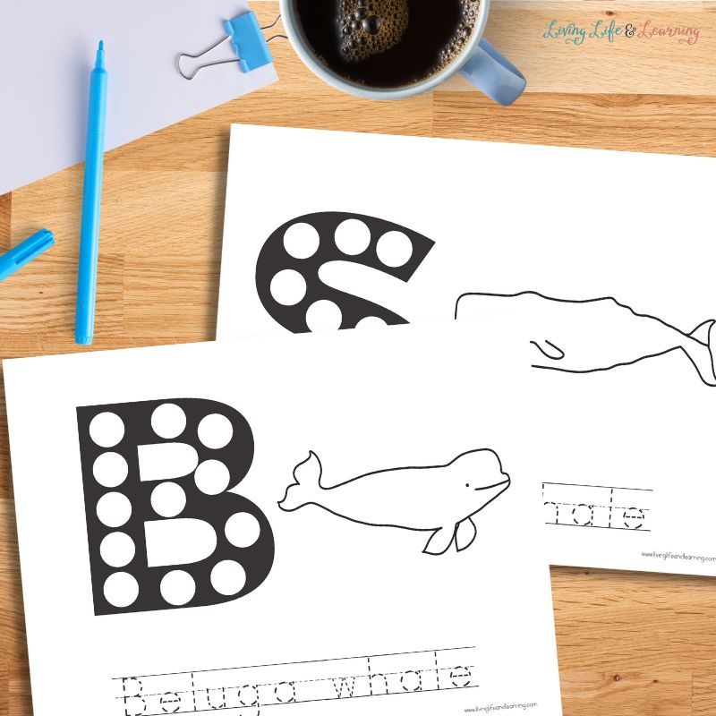 There are two Whale Worksheets for Kids on the table