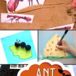 Ant Activities for Kindergarten