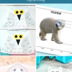 Arctic Animal Preschool Activities