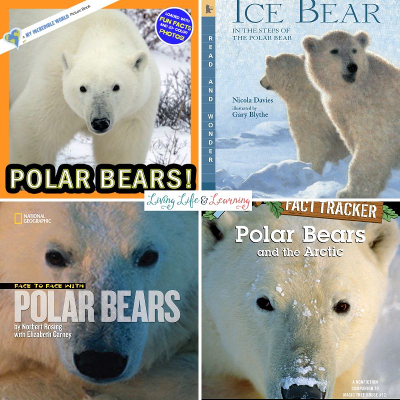Nonfiction Books About Polar Bears