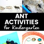 Ant Activities for Kindergarten