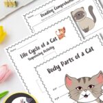 Fun Cat Worksheets