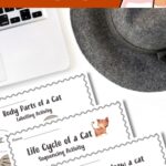 Fun Cat Worksheets