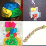 Human Body Crafts for Elementary