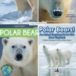 Nonfiction Books About Polar Bears
