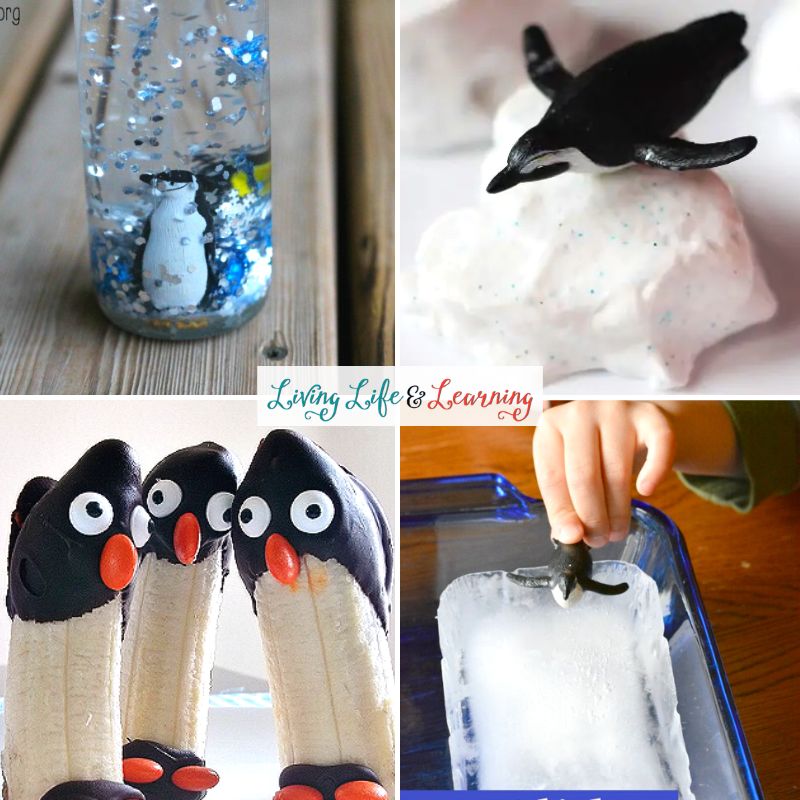 A collage of Penguin Science Activities for Preschoolers.