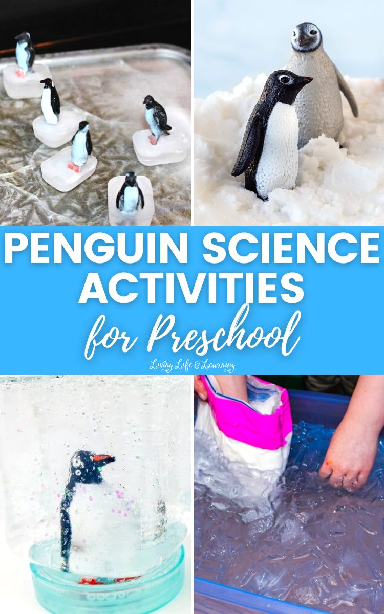 Penguin Science Activities for Preschoolers