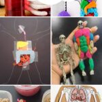 Anatomy Activities for Elementary Students