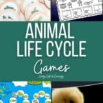 Animal Life Cycle Games