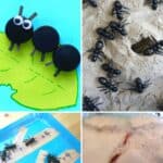 A collage of Ant Preschool Activities.