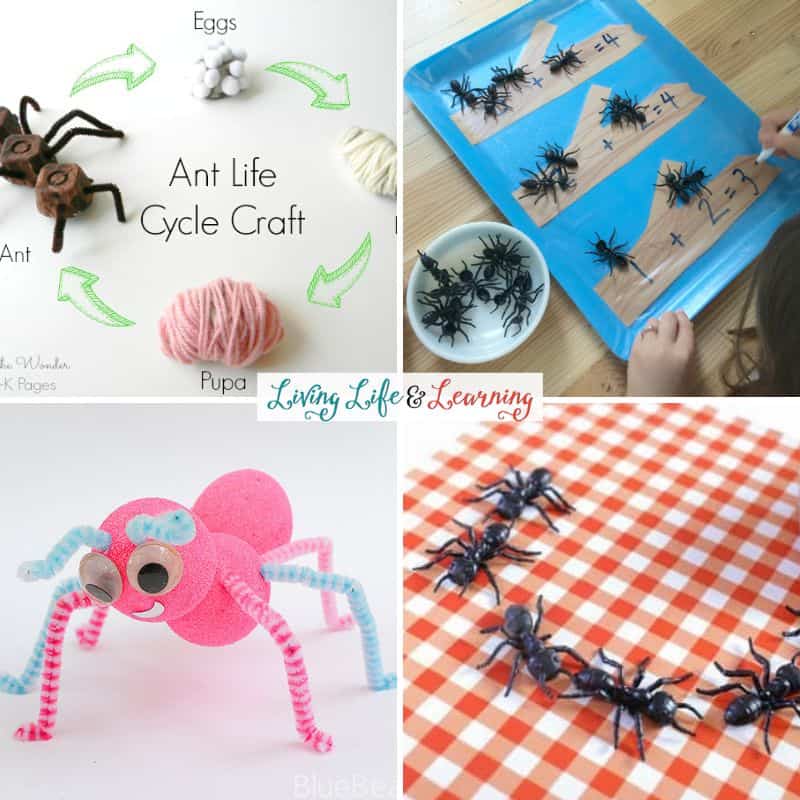A collage of Ant Preschool Activities.