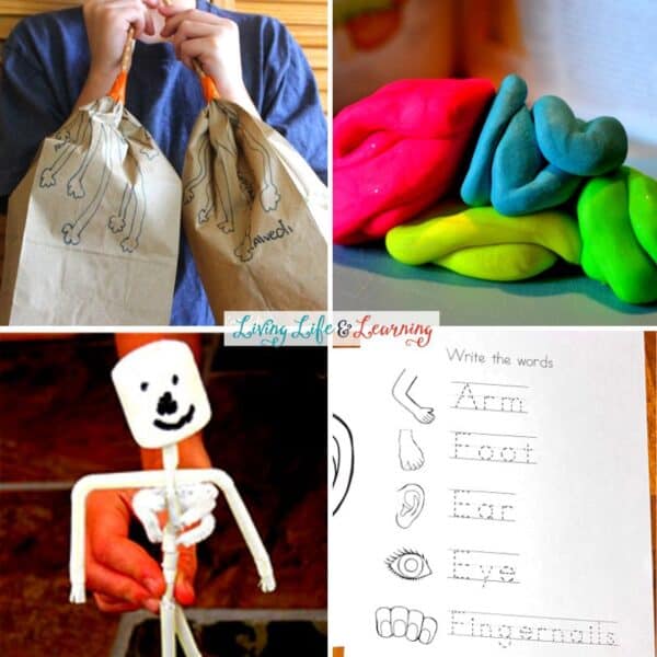 Body Parts Activities For Preschool