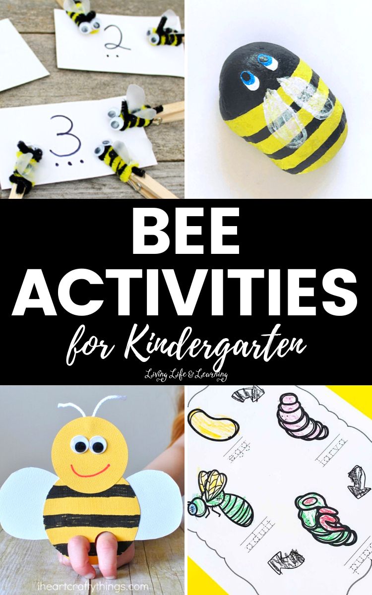 Bee Activities for Kindergarten