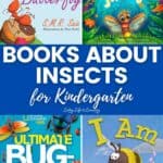 A collage of Books About Insects for Kindergarten