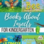 A collage of Books About Insects for Kindergarten