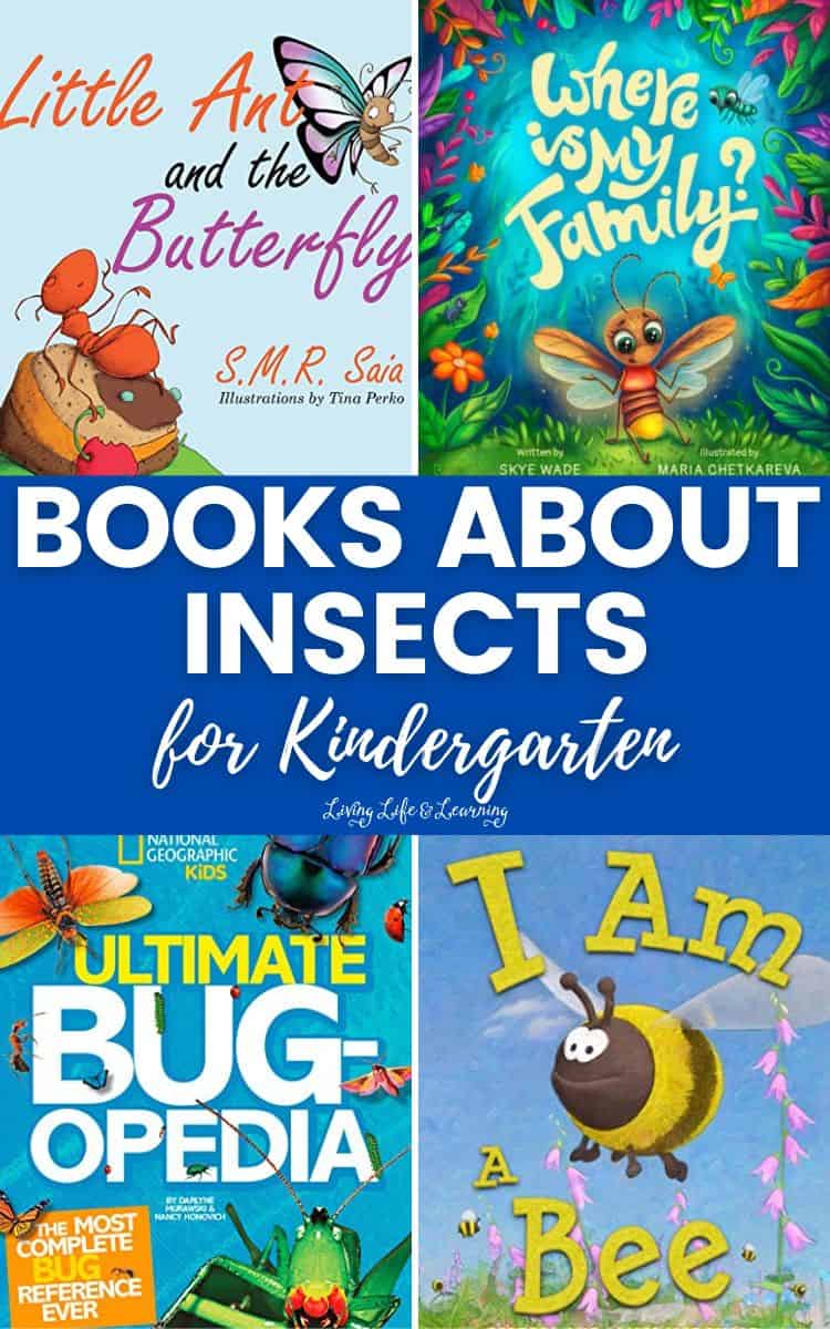 Books About Insects for Kindergarten