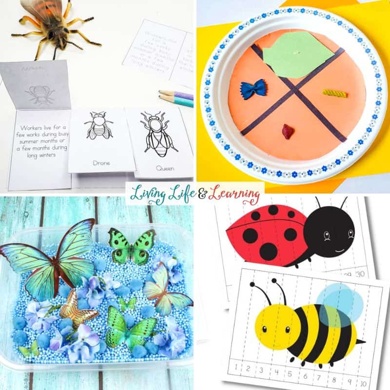 A collage of Bug Activities for Kids