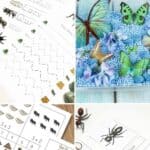 A collage on Bug Activities for Kids