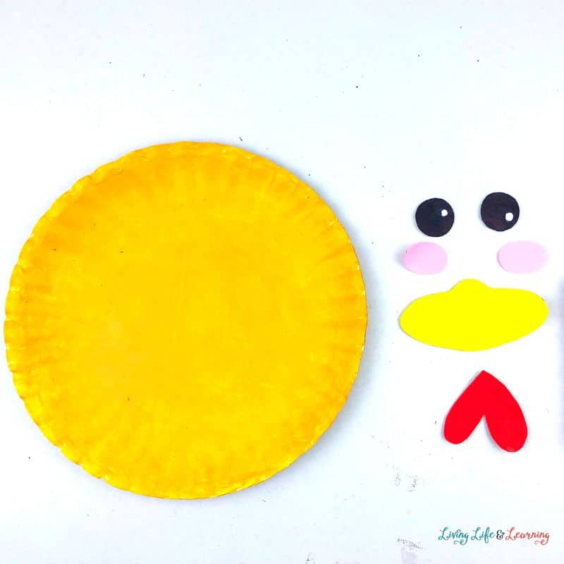 Chicken Paper Plate Craft with the face features of the chicken beside the yellow paper plate.