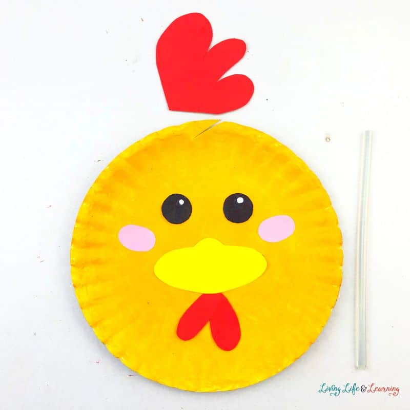 Chicken Paper Plate Craft with a glue stick.