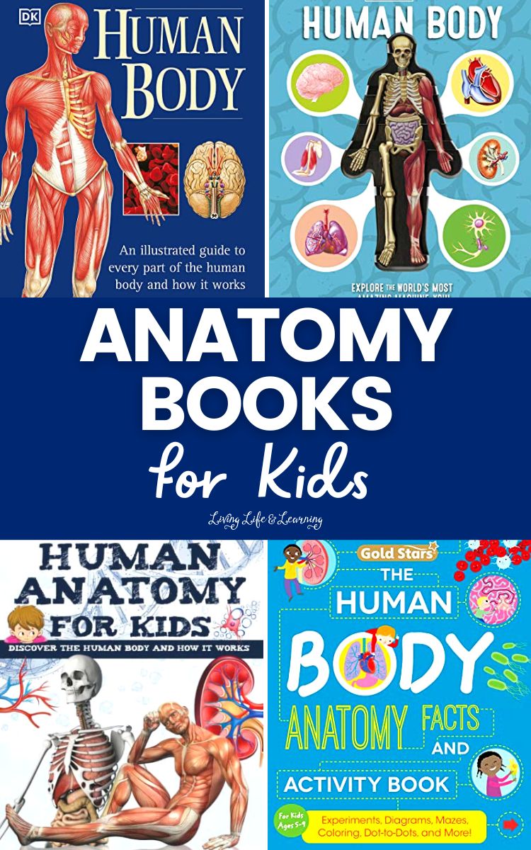 Anatomy Books for Kids