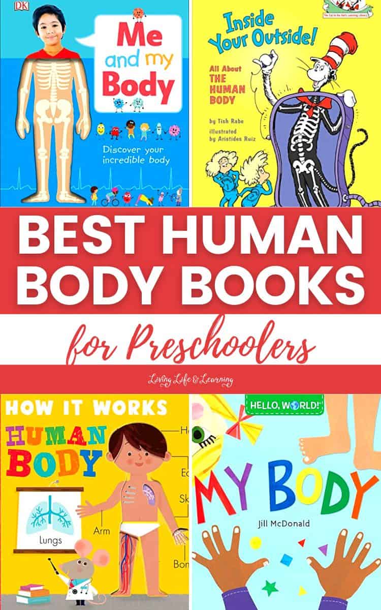 A collage of Best Human Body Books for Preschoolers.