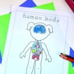Human Body Coloring Pages