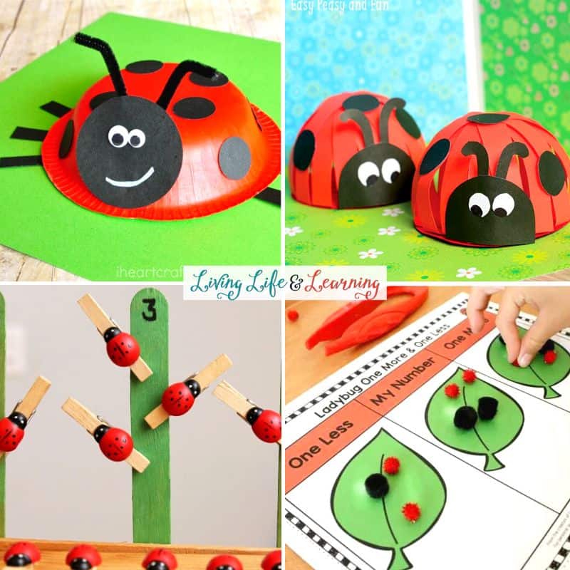 A collage of Ladybug Activities for Kids