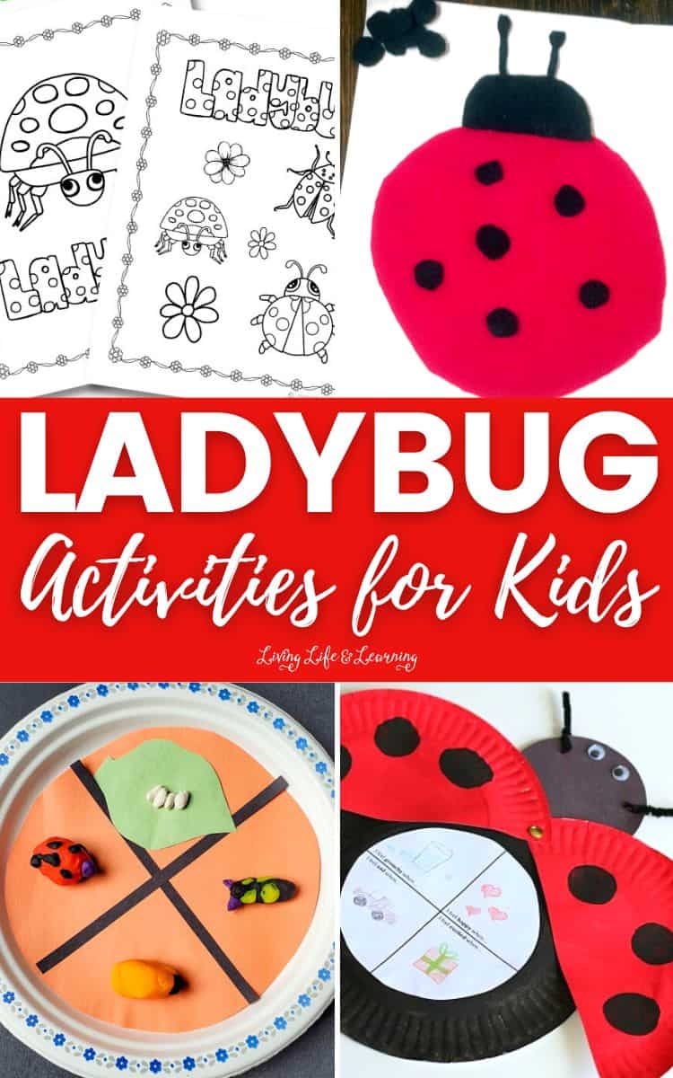 Ladybug Activities for Kids