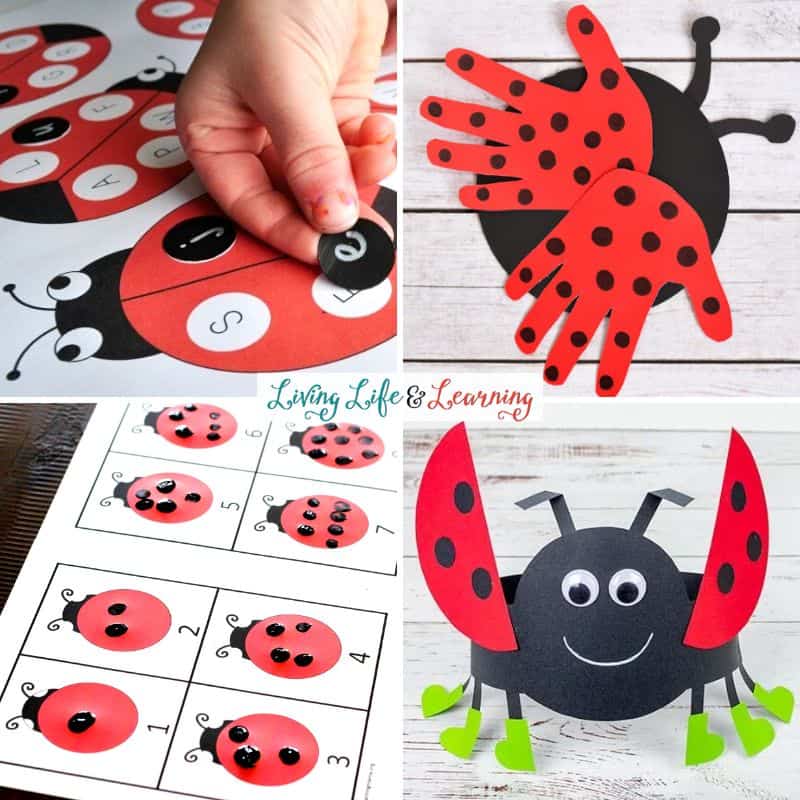 A collage of Ladybug Preschool Activities