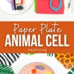 Paper Plate Animal Cell