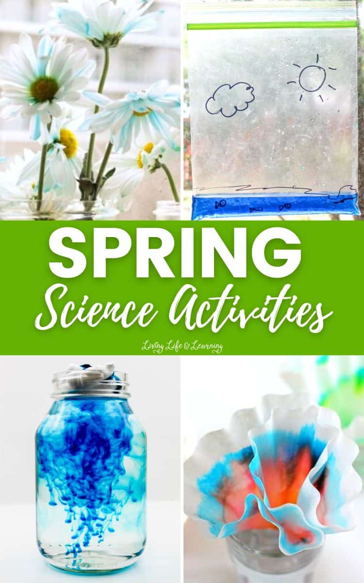 A collage of Spring Science Activities