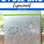 Water Cycle Bag Experiment