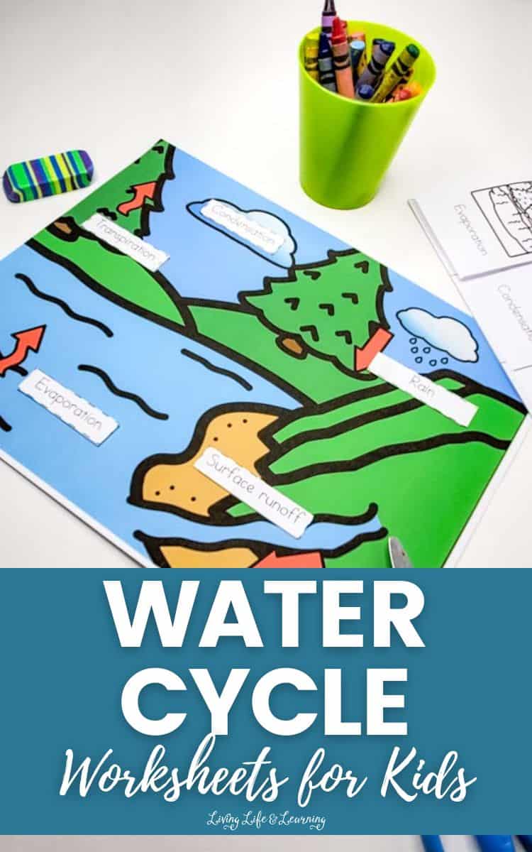 A picture of Water Cycle Worksheets for Kids.